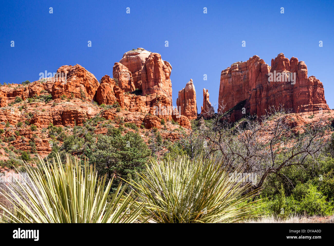 Les roches de la cathédrale, Sedona, Arizona, USA Banque D'Images
