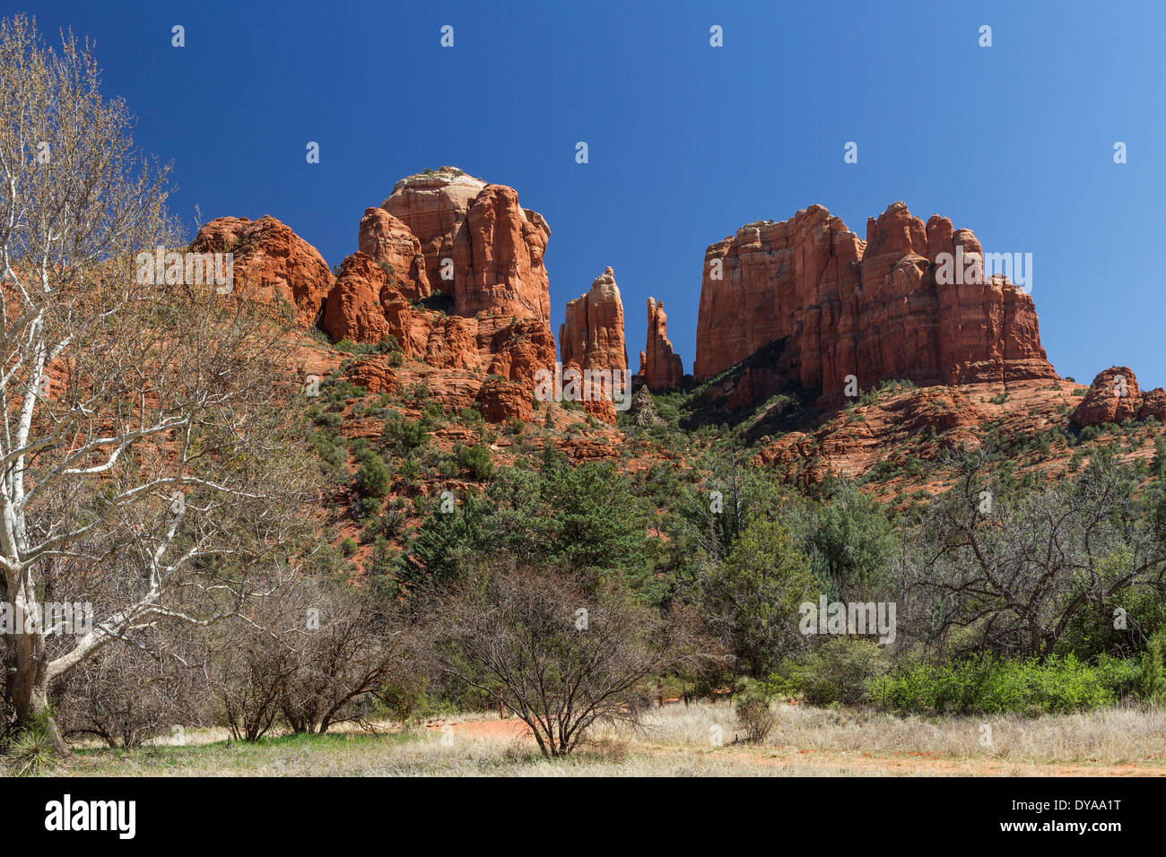 Les roches de la cathédrale, Sedona, Arizona, USA Banque D'Images