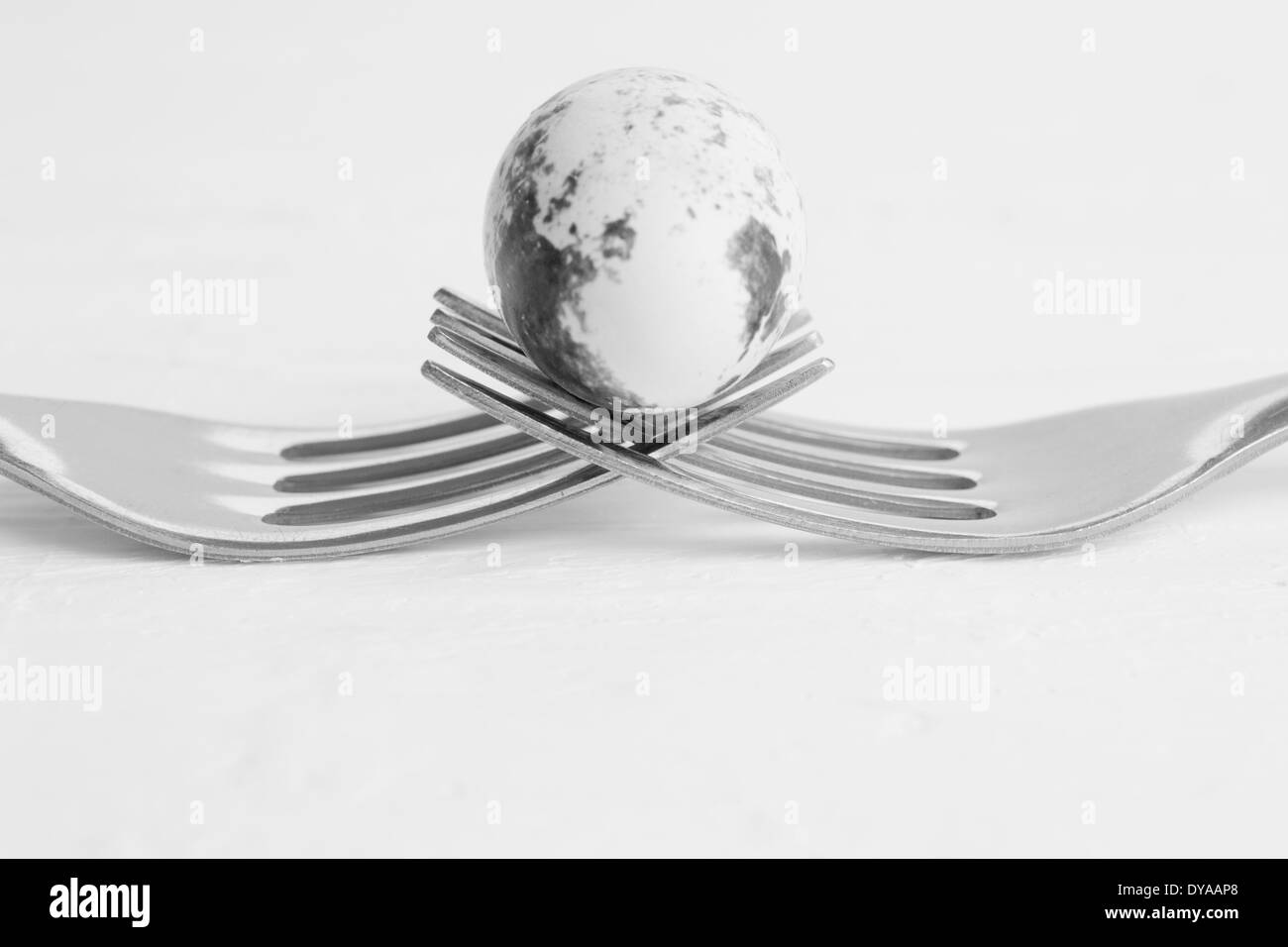 Un oeuf de caille placé entre deux fourches. Les deux fourches holding up l'oeuf de caille. Banque D'Images
