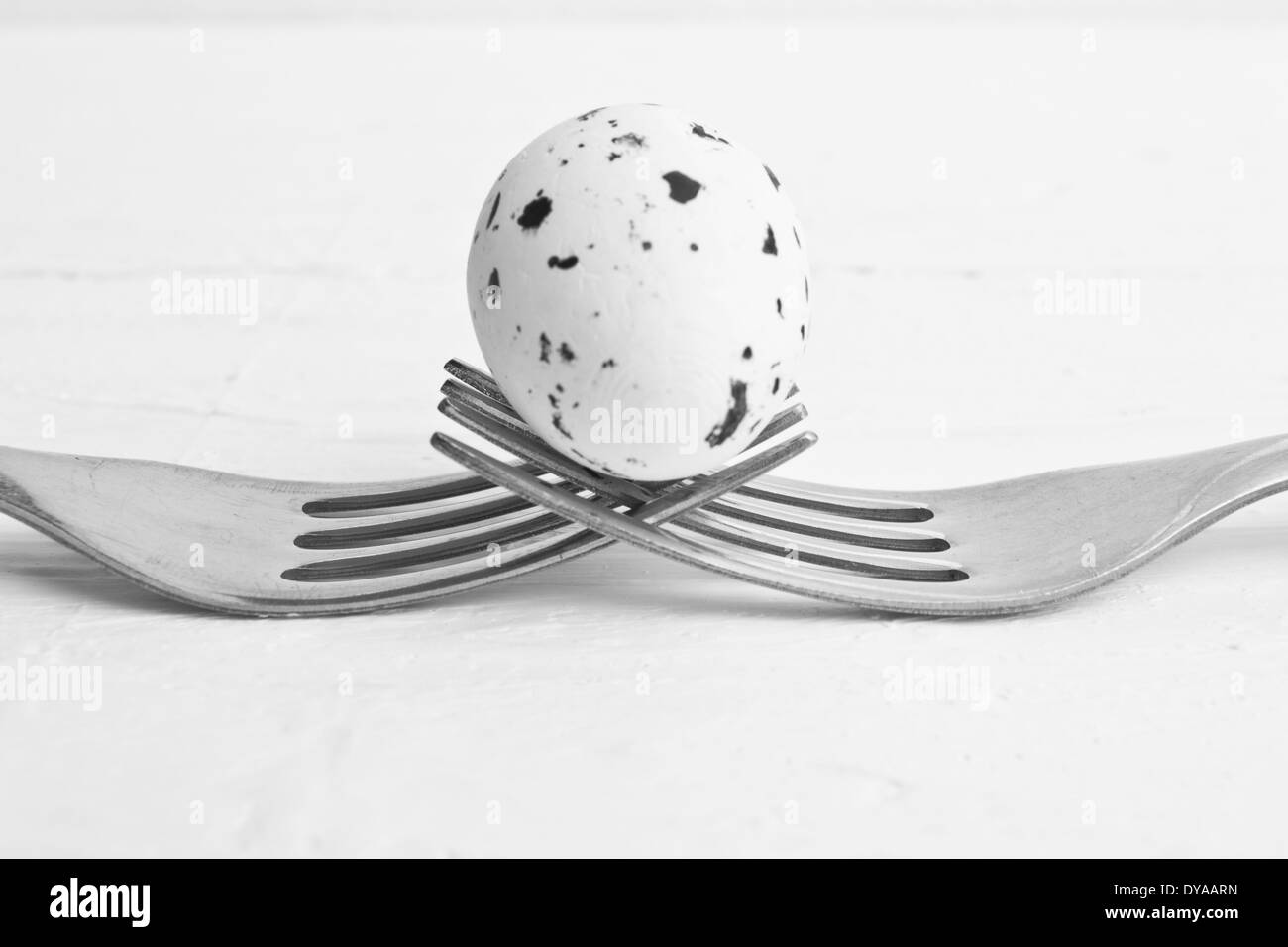 Un oeuf de caille placé entre deux fourches. Les deux fourches holding up l'oeuf de caille. Banque D'Images