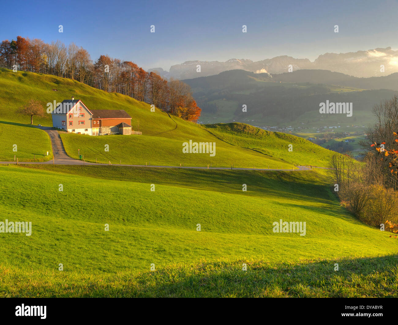 Zürich, Suisse, Europe, ferme, montagne, paysage, automne, paysage, de prairies, de l'agriculture Banque D'Images