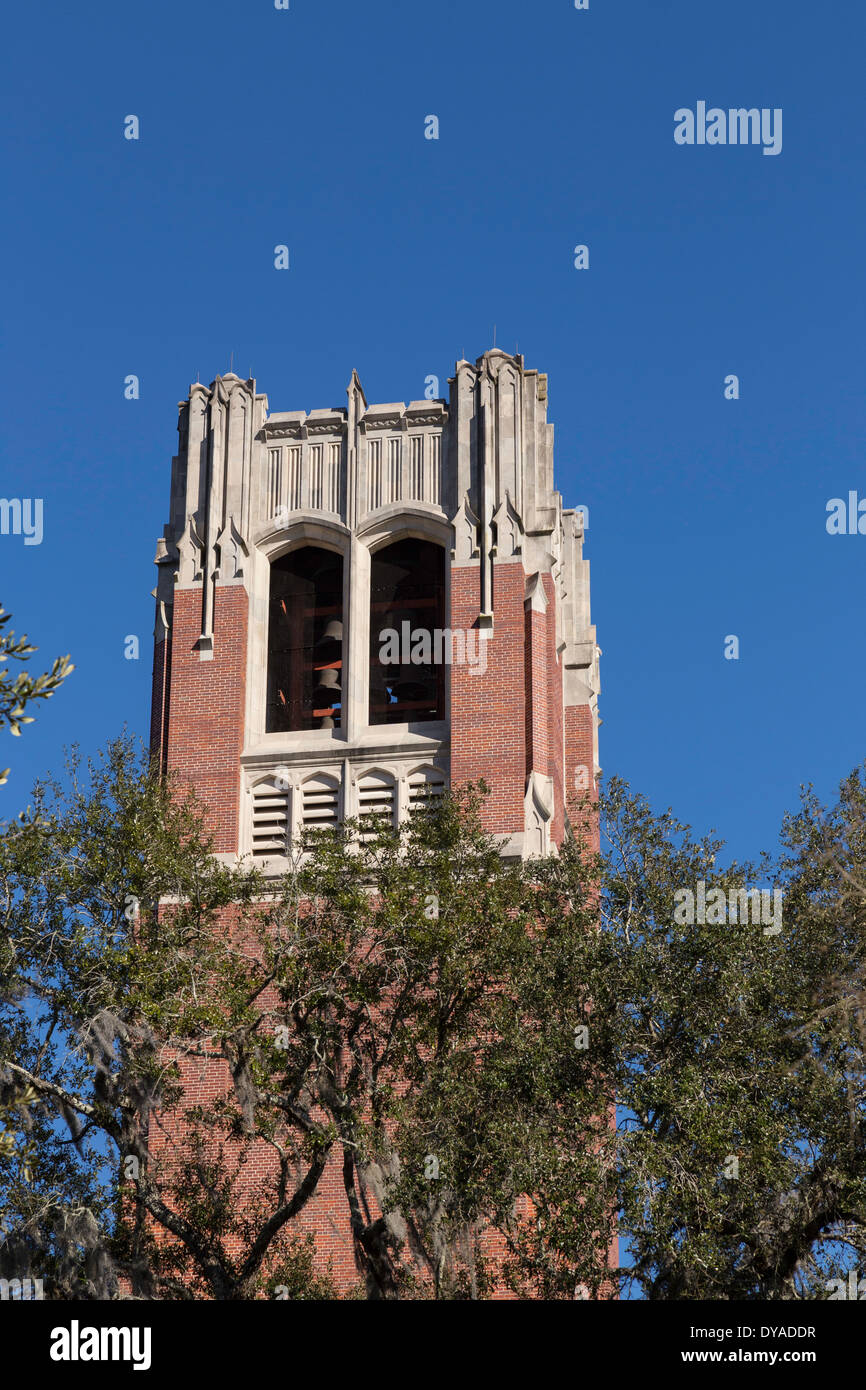 Le carillon de la tour de siècle à l'Université de Floride, Gainesville, FL, USA Banque D'Images
