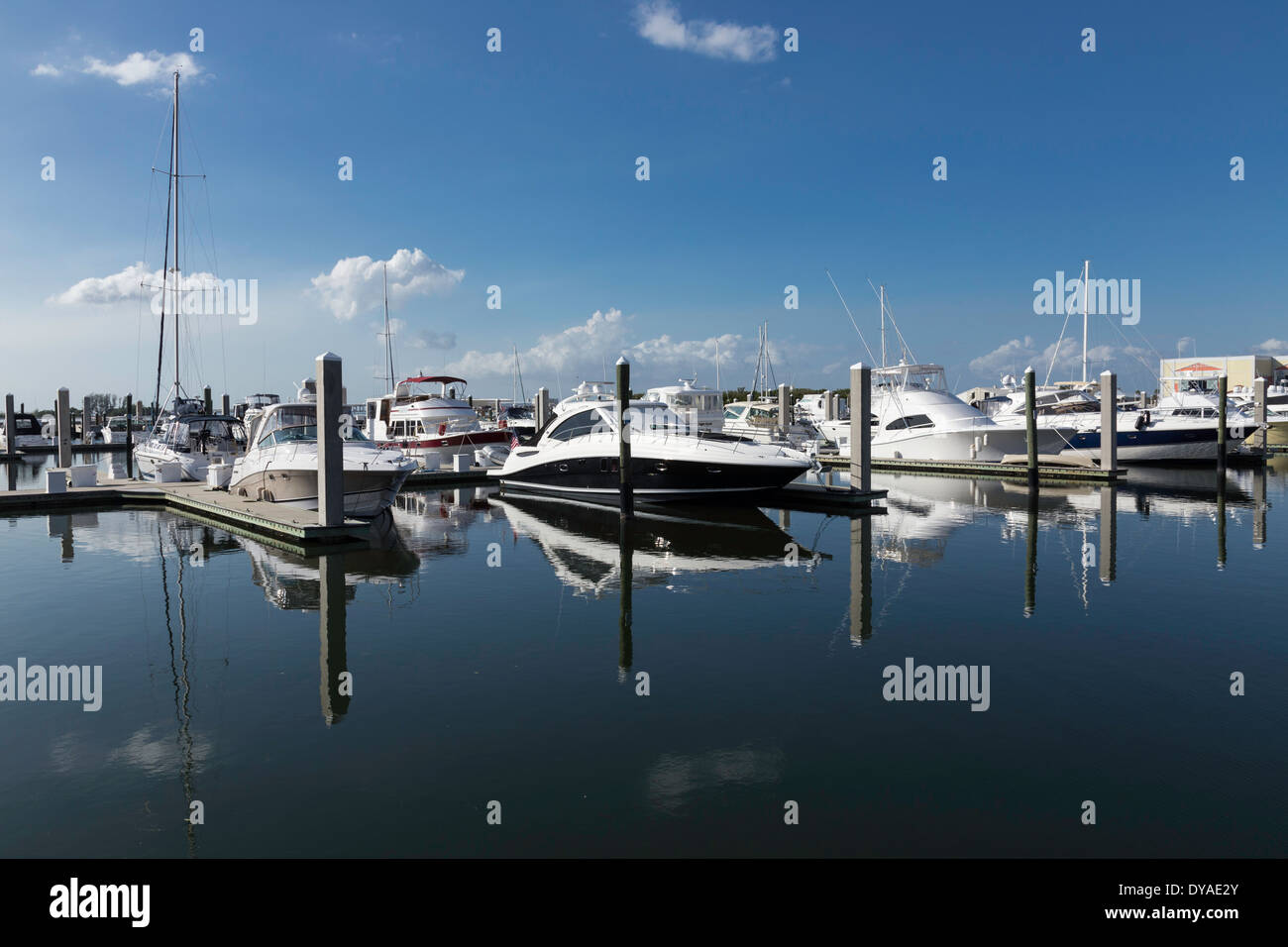 The National Hotel Yacht Club Marina, Tampa, FL, USA Banque D'Images