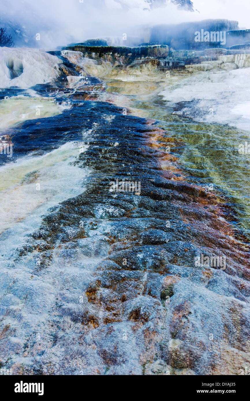 Terrasse monticule, Mammoth Hot Springs, Parc National de Yellowstone, États-Unis Banque D'Images