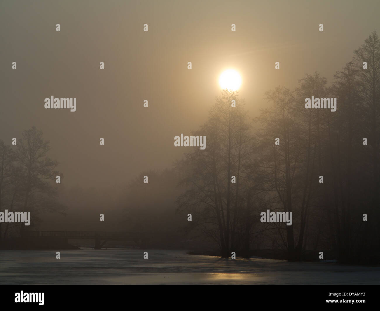 Misty le lever du soleil sur l'étang paisible à Bialowieza Palace Park et pont en bois en arrière-plan Banque D'Images