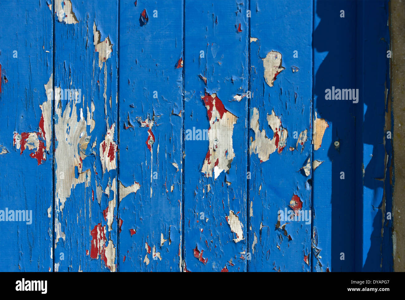 L'écaillage de la peinture sur porte en bois. Bleu, Rouge. Banque D'Images