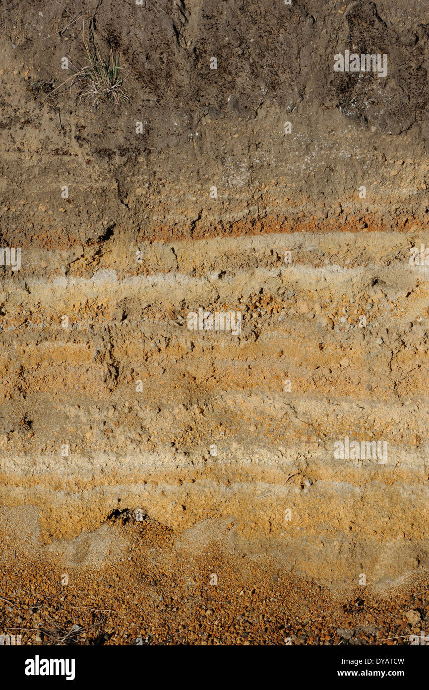 Des couches de sol de couleur différente dans un replect coupe bordure de l'activité volcanique dans les hautes terres de l'ouest du Guatemala. Banque D'Images
