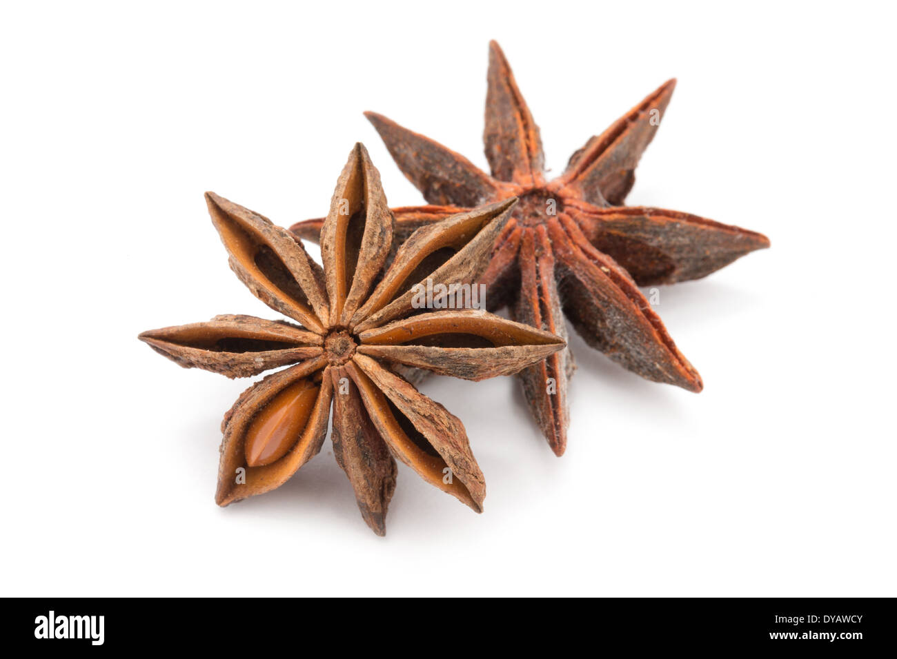 Les étoiles d'anis sur fond blanc Banque D'Images