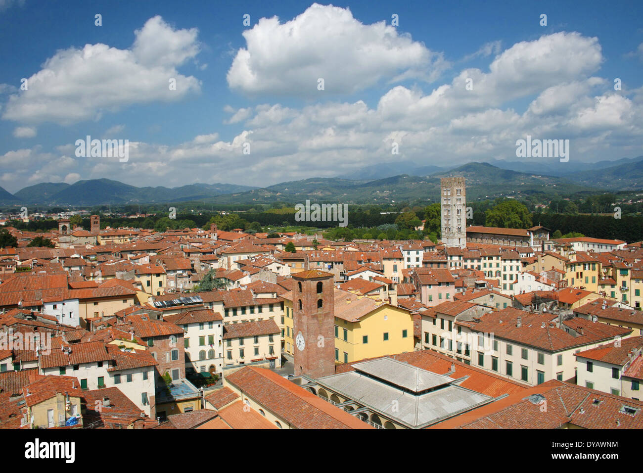 Vue sur la vieille ville de Lucca, Toscane, Italie. Banque D'Images