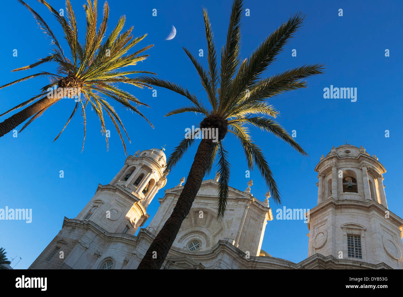 Cathédrale et de palmiers, la Plaza de la Catedral, Cádiz, Andalousie, Espagne Banque D'Images