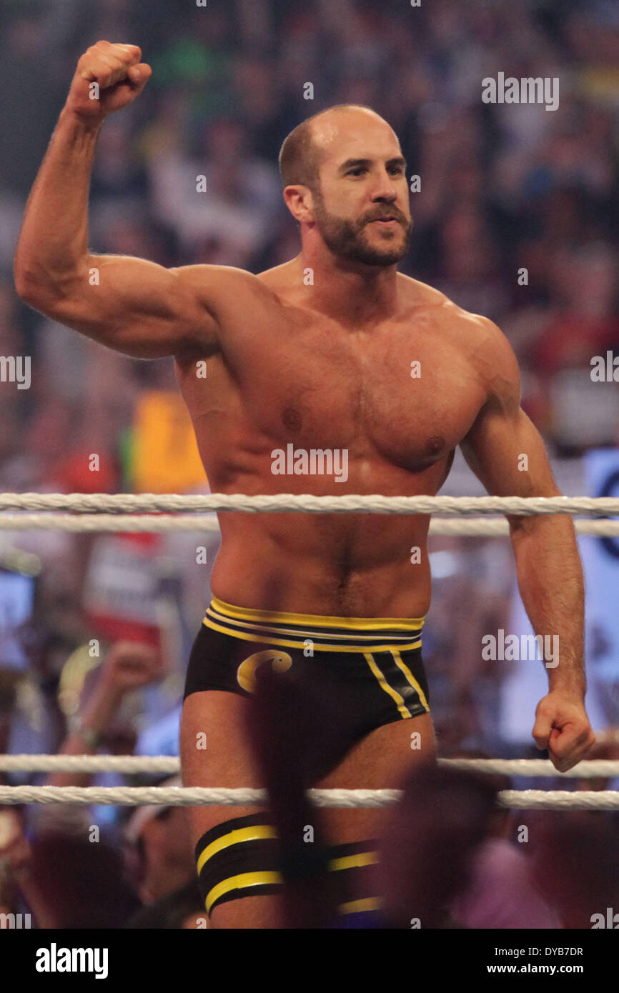 La Nouvelle-Orléans, Louisiane, Etats-Unis. 6ème apr 2014. CESARO célèbre sa victoire dans la bataille Royale André le Géant lors de Wrestlemania 30 à la BMW Super Dome. © Matt Roberts/ZUMA/ZUMAPRESS.com/Alamy fil Live News Banque D'Images