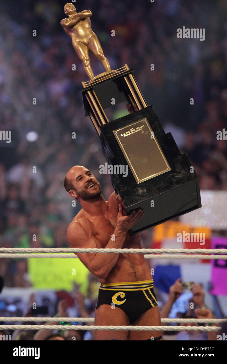 La Nouvelle-Orléans, Louisiane, Etats-Unis. 6ème apr 2014. CESARO célèbre sa victoire dans la bataille Royale André le géant qu'il hisse son trophée élevé dans l'air pour les fans de voir lors de Wrestlemania 30 à la BMW Super Dome. © Matt Roberts/ZUMA/ZUMAPRESS.com/Alamy fil Live News Banque D'Images