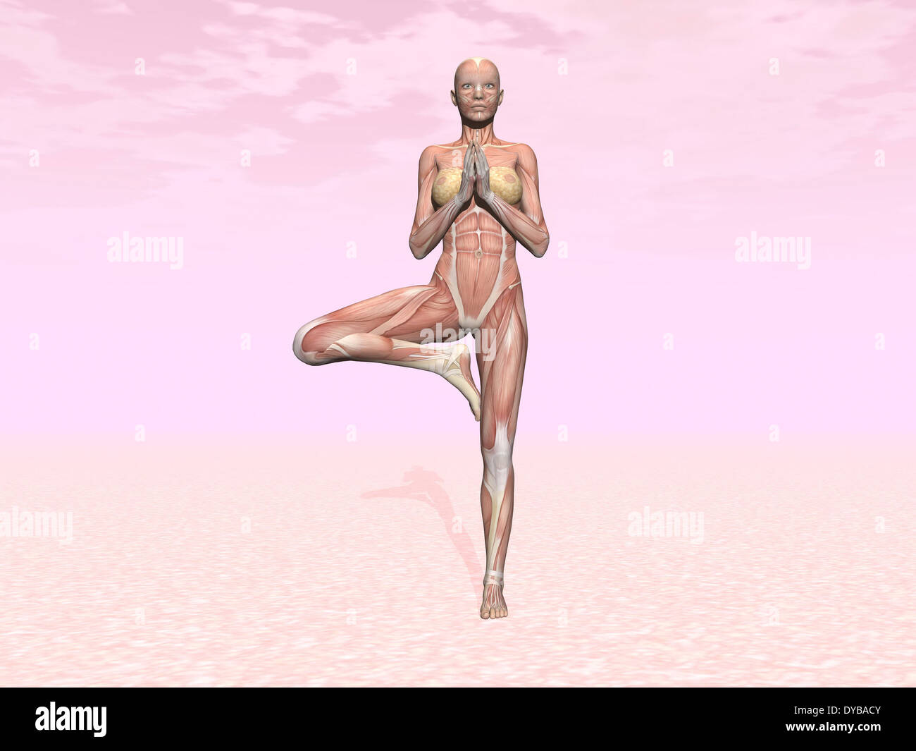 Musculature féminine effectuant tree yoga pose, fond rose. Banque D'Images