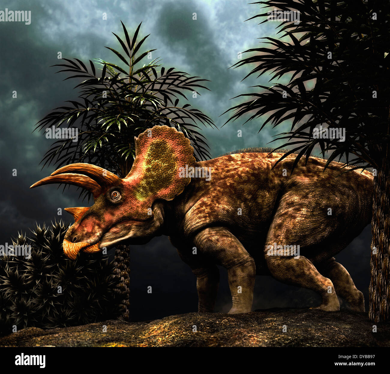 Triceratops était un dinosaure herbivore du Crétacé. Banque D'Images