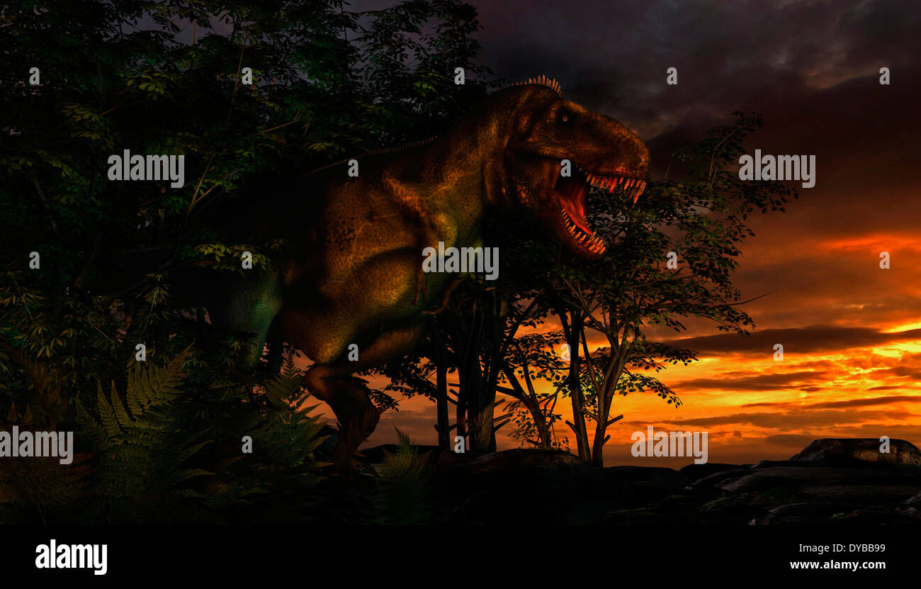 Tyranosaurus Rex qui sortent d'une forêt à la recherche de proies. Banque D'Images