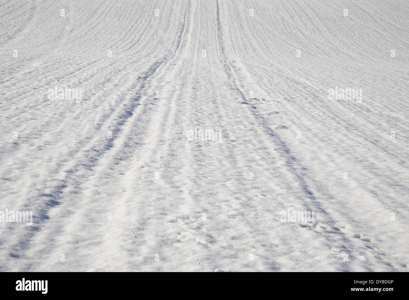 Hiver neige scène montrant close up des traces de pneu de tracteur dans un champ couvert de neige Banque D'Images