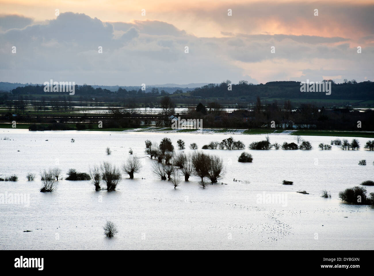 L'aube sur le champs inondés des Somerset Levels avec de l'eau couler de la rivière Parrett dans Southlake Moor UK Banque D'Images