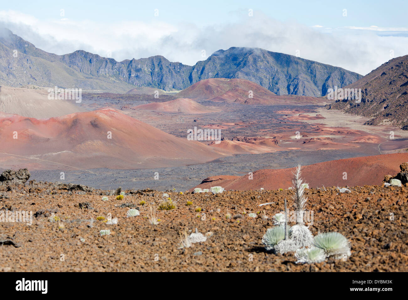 Bromo cratère de Haleakala dans le désert de lave du grand cratère de Haleakala sur Maui, Hawaii. Banque D'Images