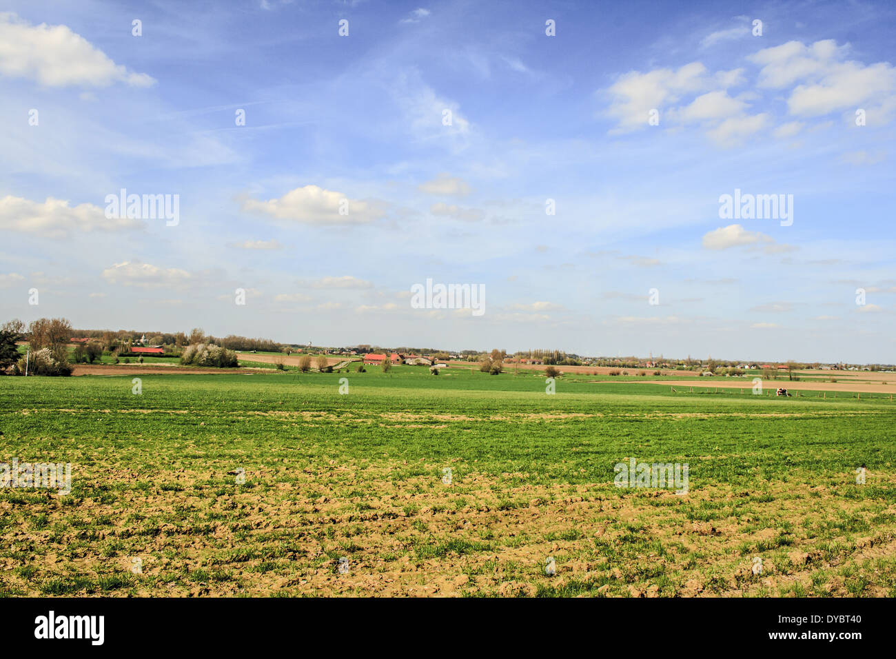 Paysage en Flandres Belgique Ciel et nuages farm Banque D'Images