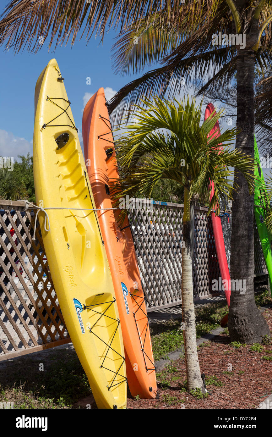 Location de kayak et des eaux et de palmiers, Casey Key, Florida, USA Banque D'Images