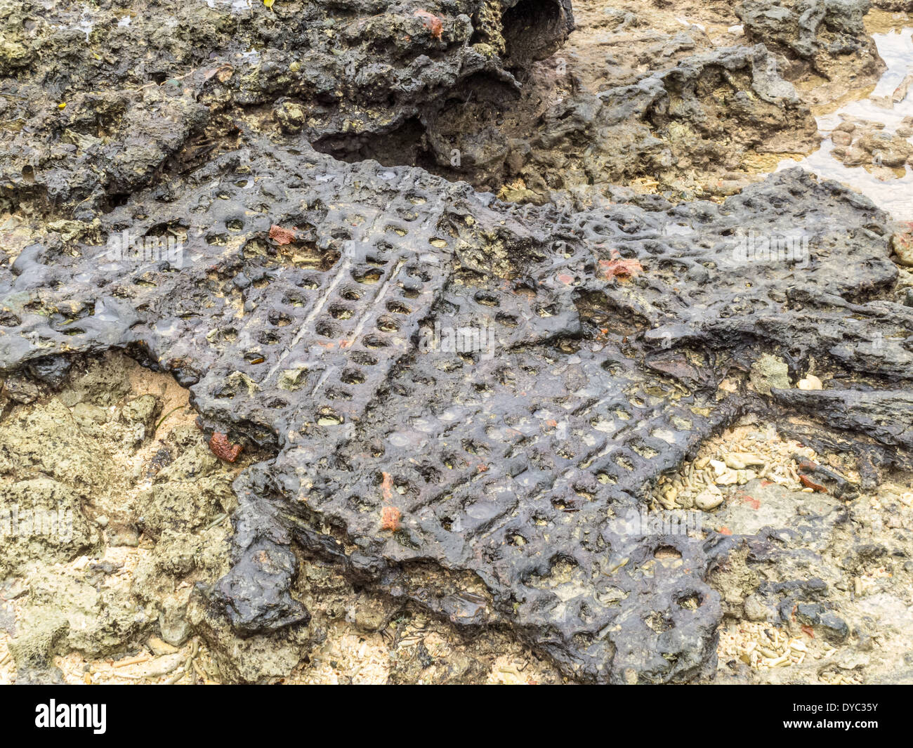 Million Dollar Point, Vanuatu. US WW2 dumping des machines militaires à la fin de la guerre. Banque D'Images