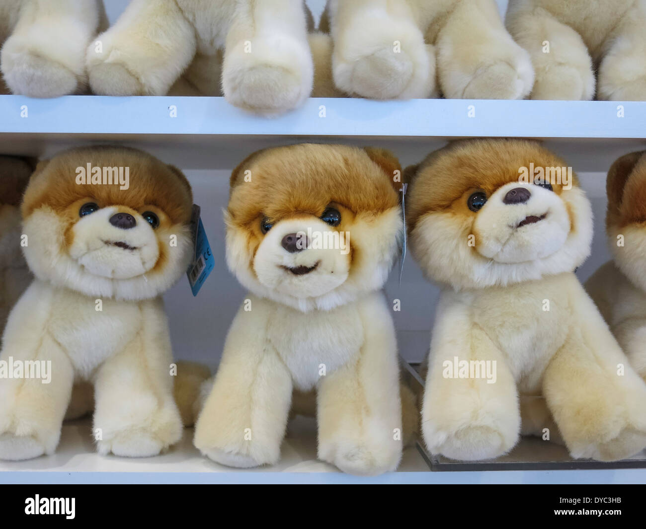 Boo,'le chien le plus mignon du Monde' chiffres farci ,Phare magasin de jouets FAO Schwarz de New York, de l'intérieur Banque D'Images
