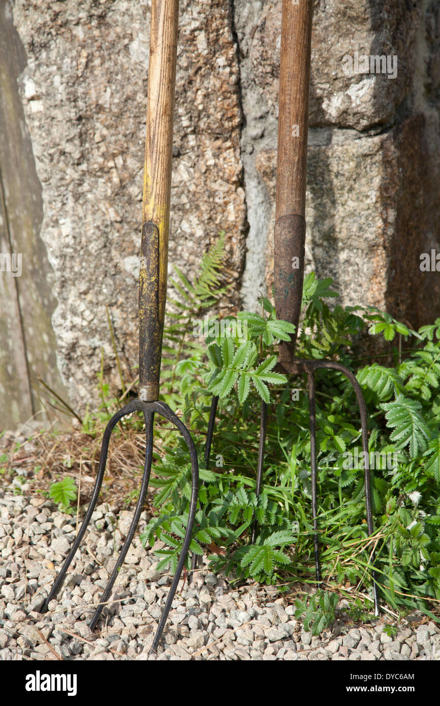 Fourches de jardin Banque de photographies et d’images à haute ...