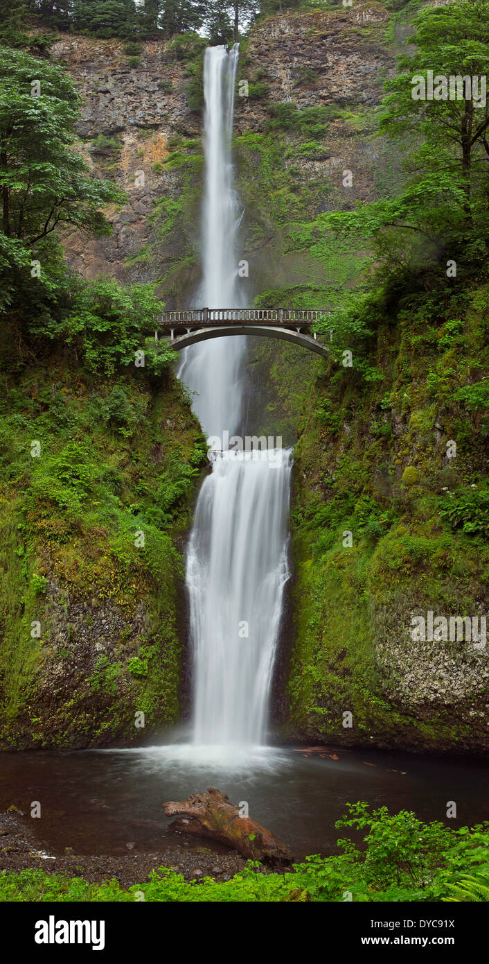 Chutes de Multnomah Panorama dans la gorge du Columbia, New York. USA Banque D'Images