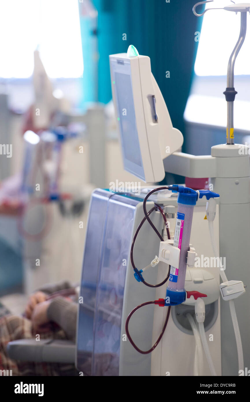 Un patient de dialyse rénale reçoit le traitement de l'insuffisance rénale dans un hôpital du NHS. Banque D'Images