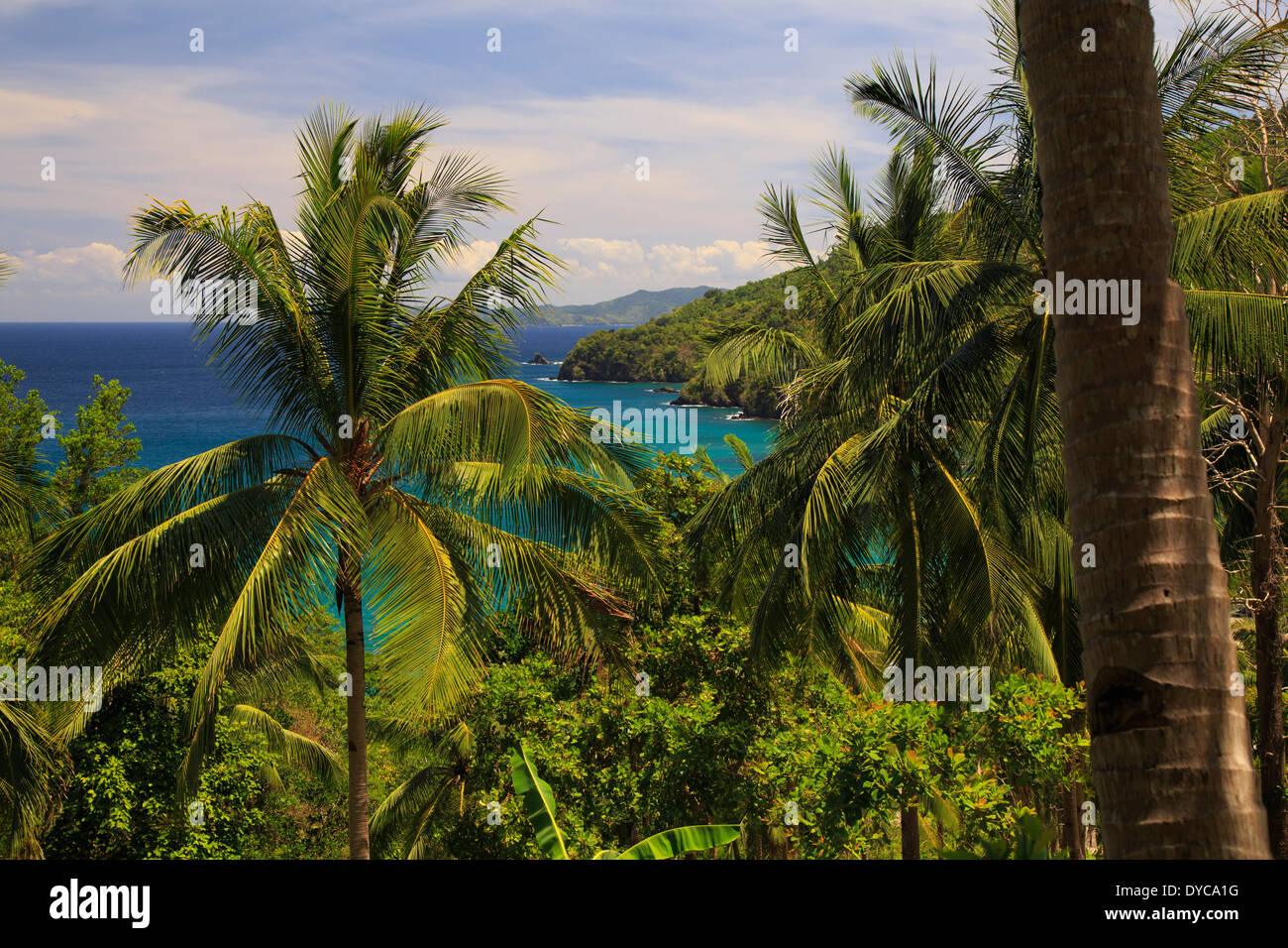 Philippines, Palawan, Port Barton, Baybay village de pêcheurs Banque D'Images