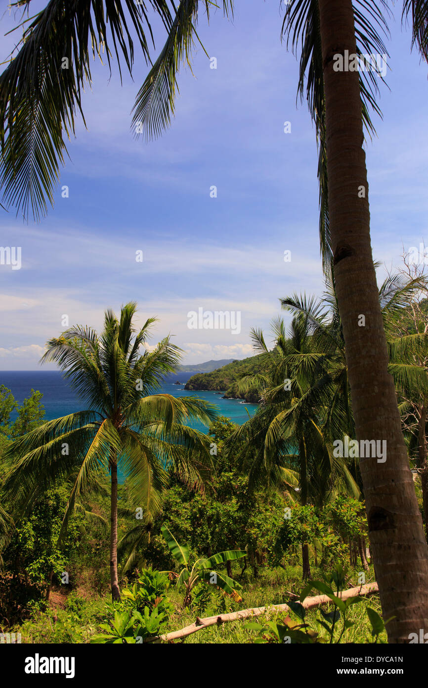 Philippines, Palawan, Port Barton, Baybay village de pêcheurs Banque D'Images