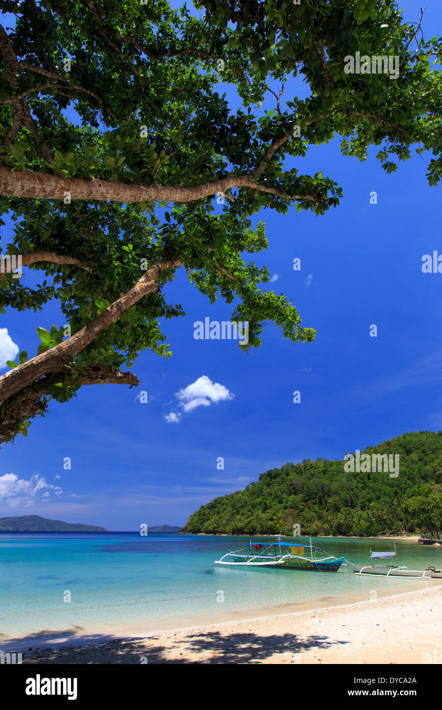 Philippines, Palawan, Port Barton, Turtle Bay Banque D'Images