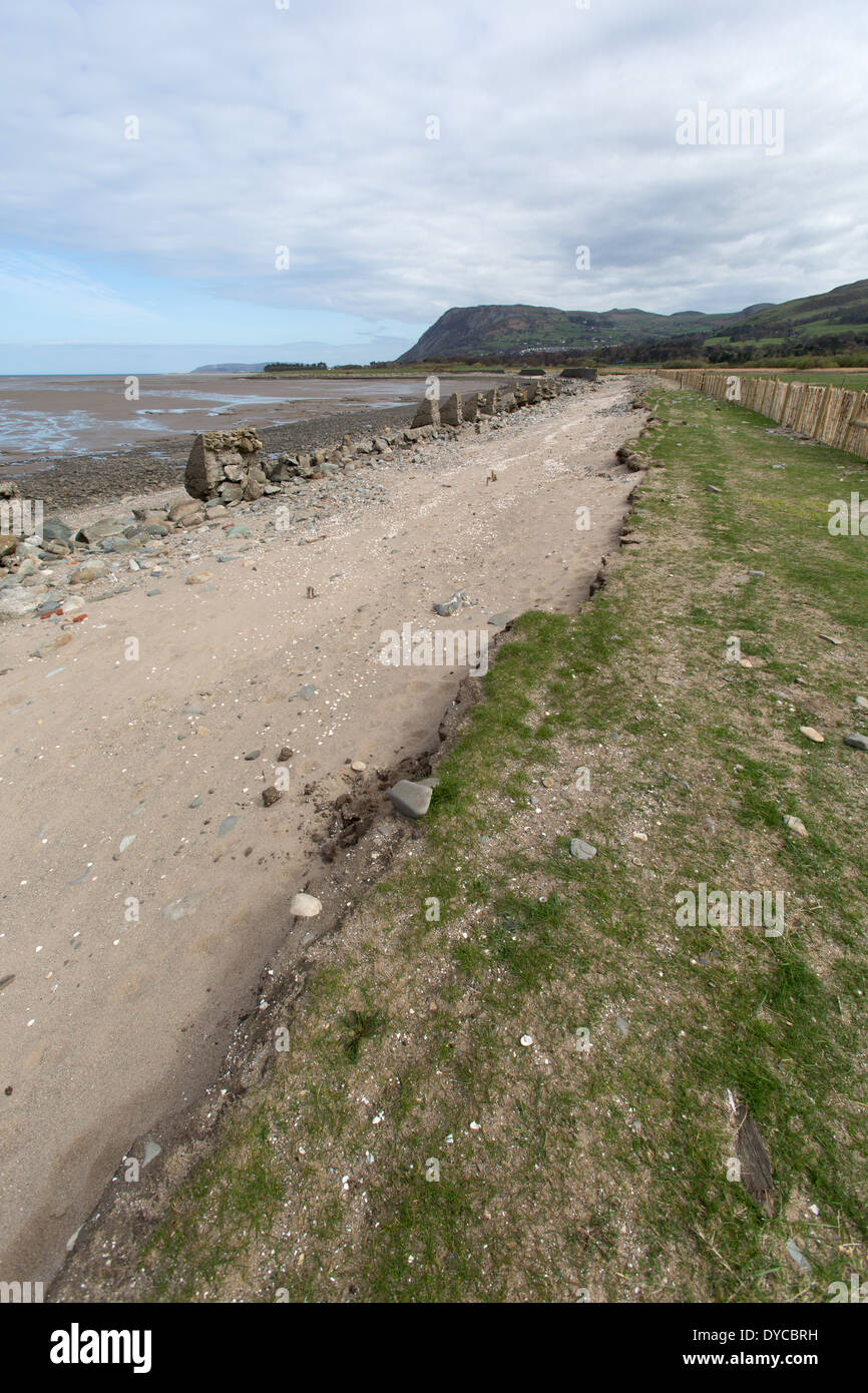 Le sentier du littoral du pays de Galles dans le Nord du Pays de Galles. La rive érodée sur le chemin entre la côte du Pays de Galles Llanfairfechan et Bangor. Banque D'Images