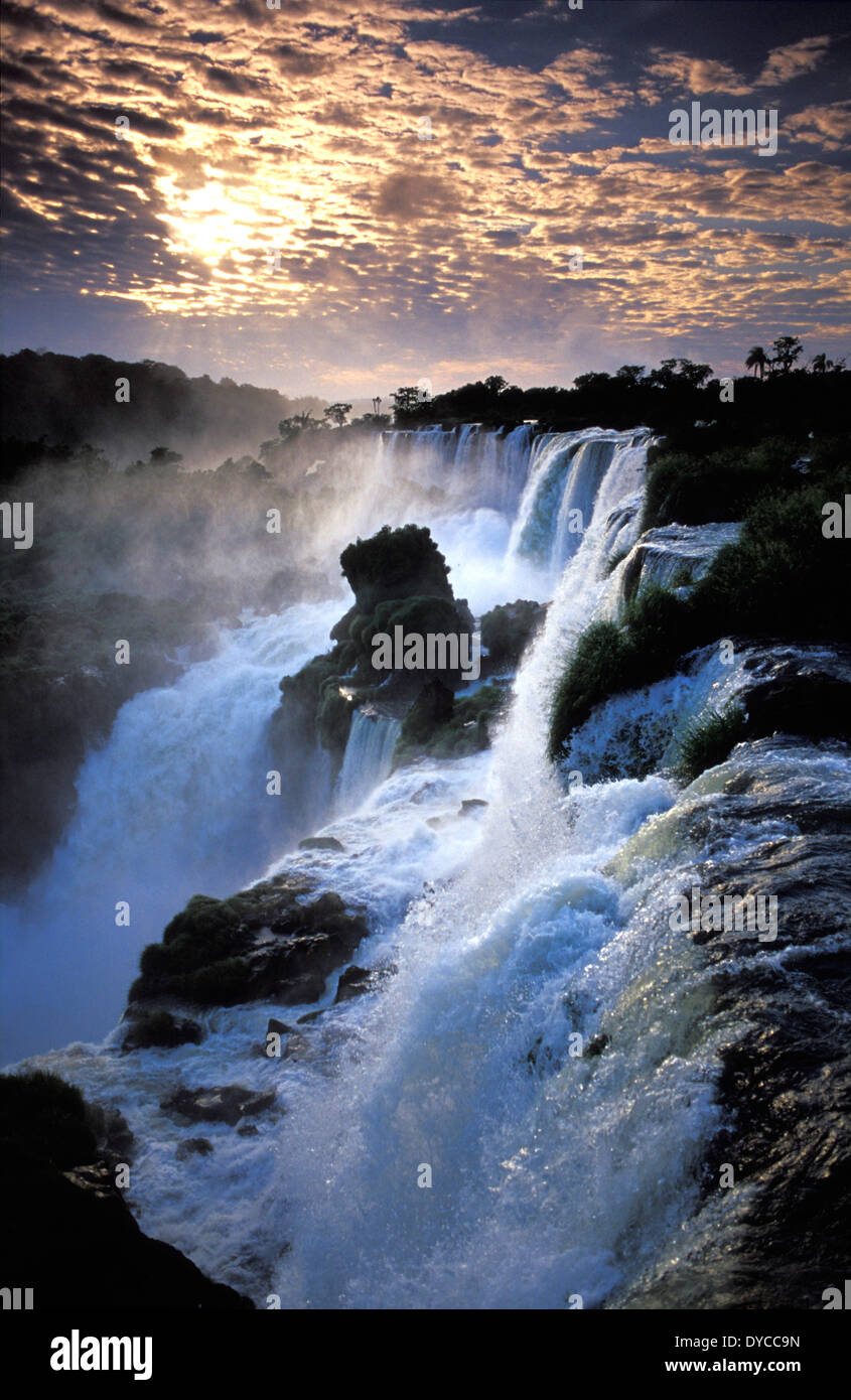 Le Parc National des chutes d'Iguazu, Argentine Banque D'Images