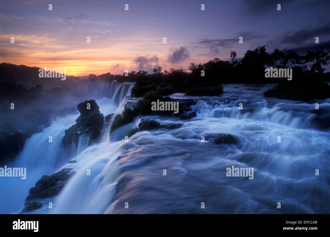 Le Parc National des chutes d'Iguazu, Argentine Banque D'Images