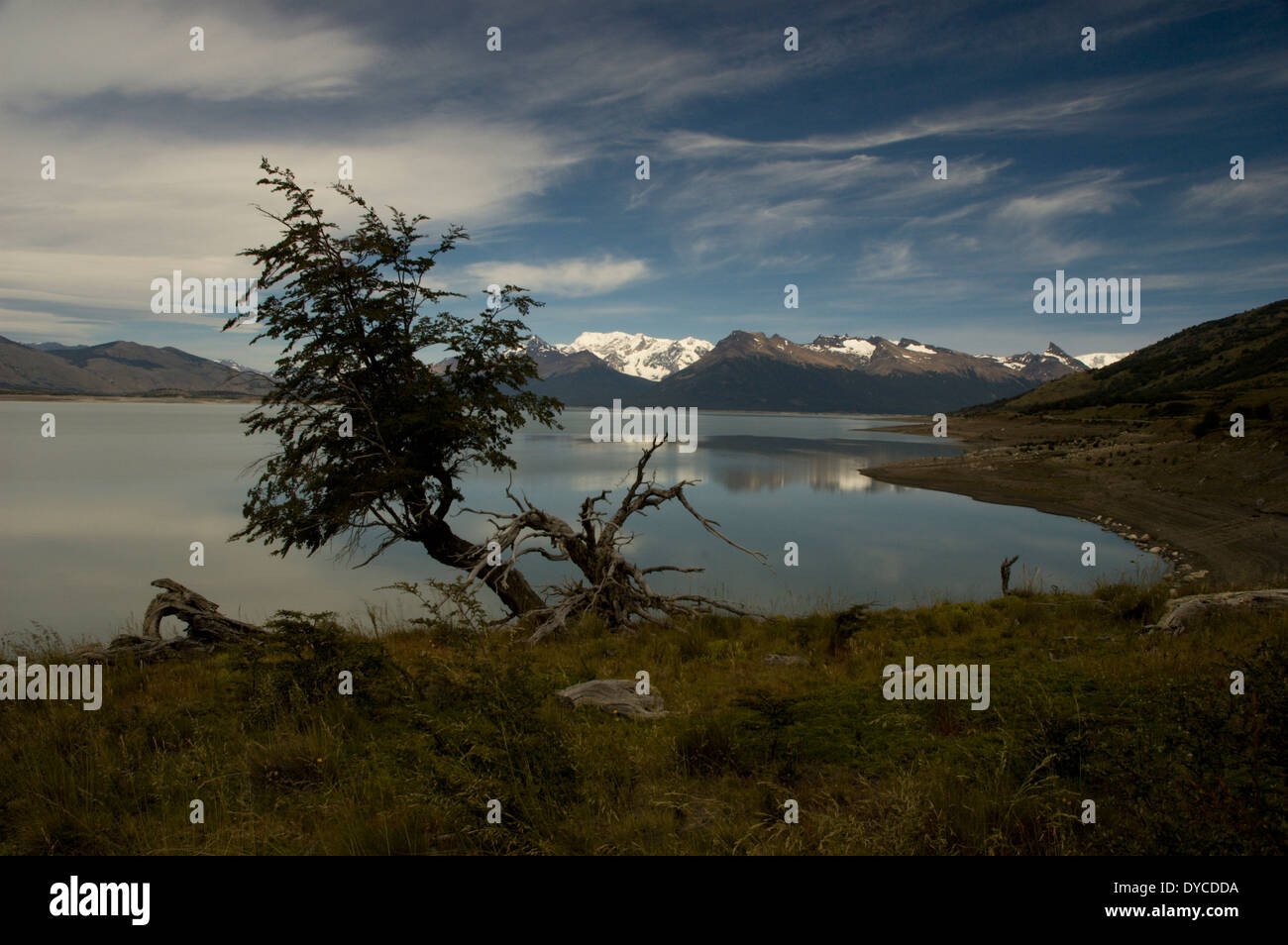 Le parc national des Glaciers Banque D'Images