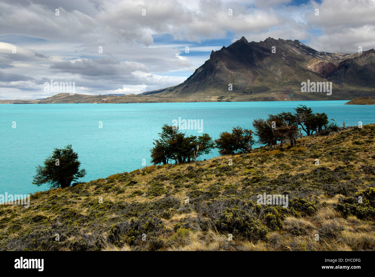 Peninsula et le lac Belgrano, le Parc National Perito Moreno, dans le sud de la Patagonie andine, Santa Cruz, Argentine Banque D'Images