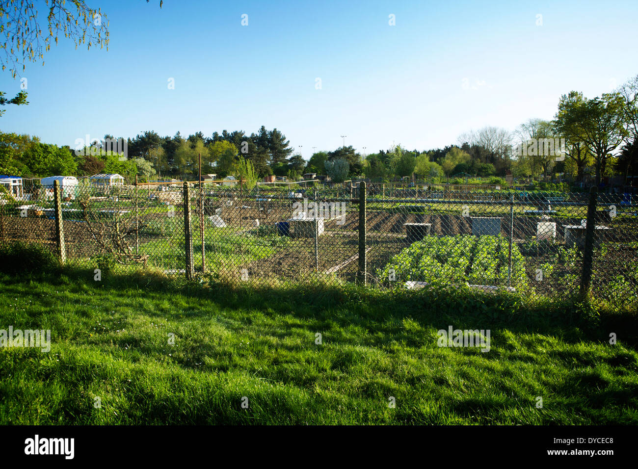 Le nord de Londres dans Carter Hatch Lane, dans le quartier londonien d'Enfield, Angleterre, Royaume-Uni. Banque D'Images