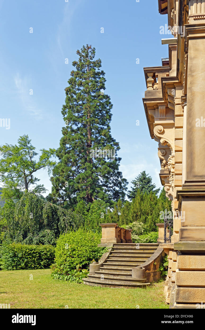 Europe Allemagne Rhénanie-palatinat Neustadt an der Weinstrasse wine route Neustadt park villa Villa Böhm arbre architecture Böhm Banque D'Images