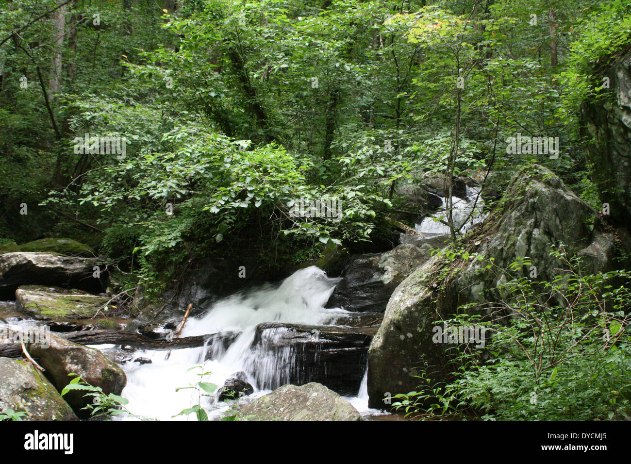 Ana Ruby Falls Géorgie Été 2013 Banque D'Images