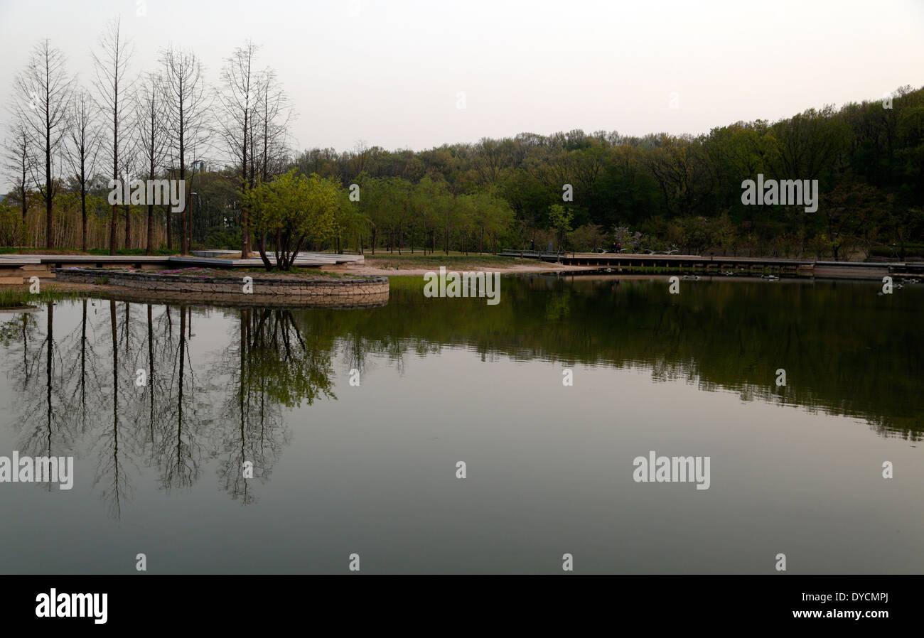 Arbres se reflétant sur un étang, Séoul, Corée du Sud. Banque D'Images