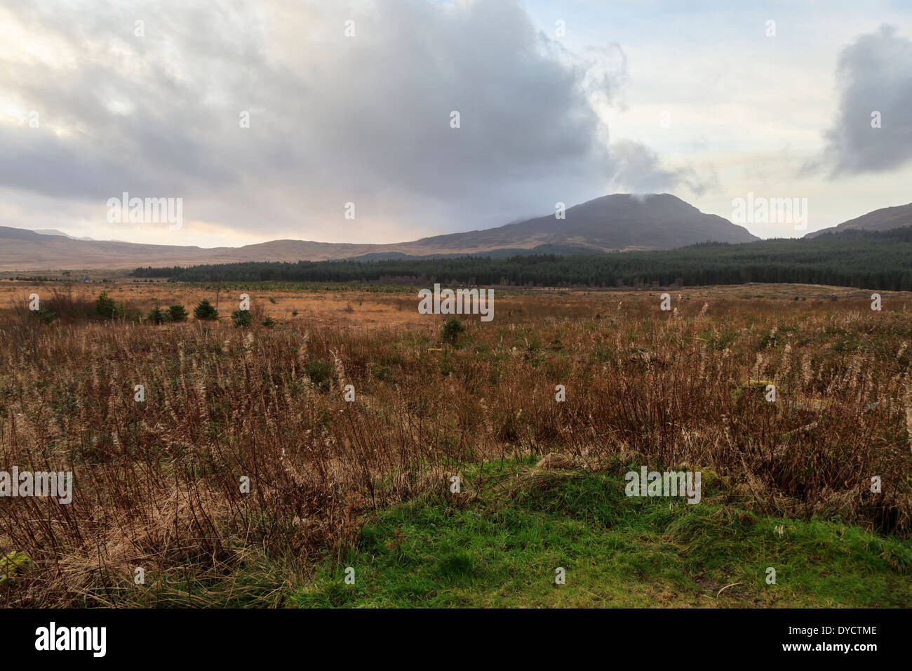 Un nuage se forme sur Rhinog Fach Banque D'Images