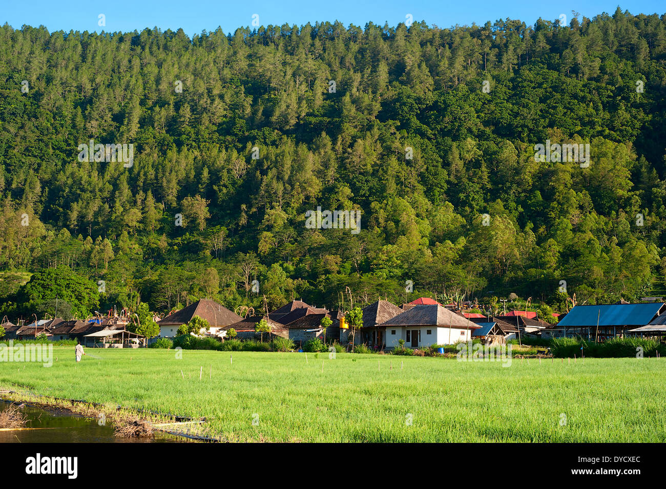 Village traditionnel près de Batur lake sur l'île de Bali, Indonésie Banque D'Images