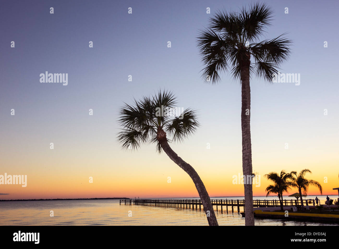 Florida Charlotte Harbour, Port Charlotte, eau de la rivière de la paix, coucher de soleil, crépuscule, eau, jetée, palmiers arbres, les visiteurs Voyage tourisme touristique Landma Banque D'Images