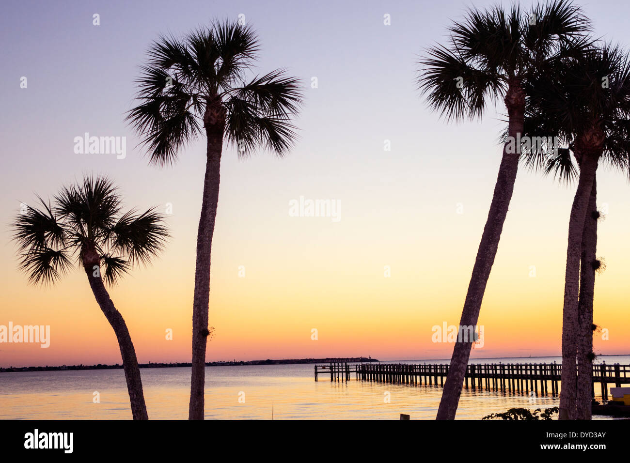 Florida Charlotte Harbour, Port Charlotte, eau de la rivière de la paix, coucher de soleil, crépuscule, eau, jetée, palmiers arbres, les visiteurs Voyage tourisme touristique Landma Banque D'Images