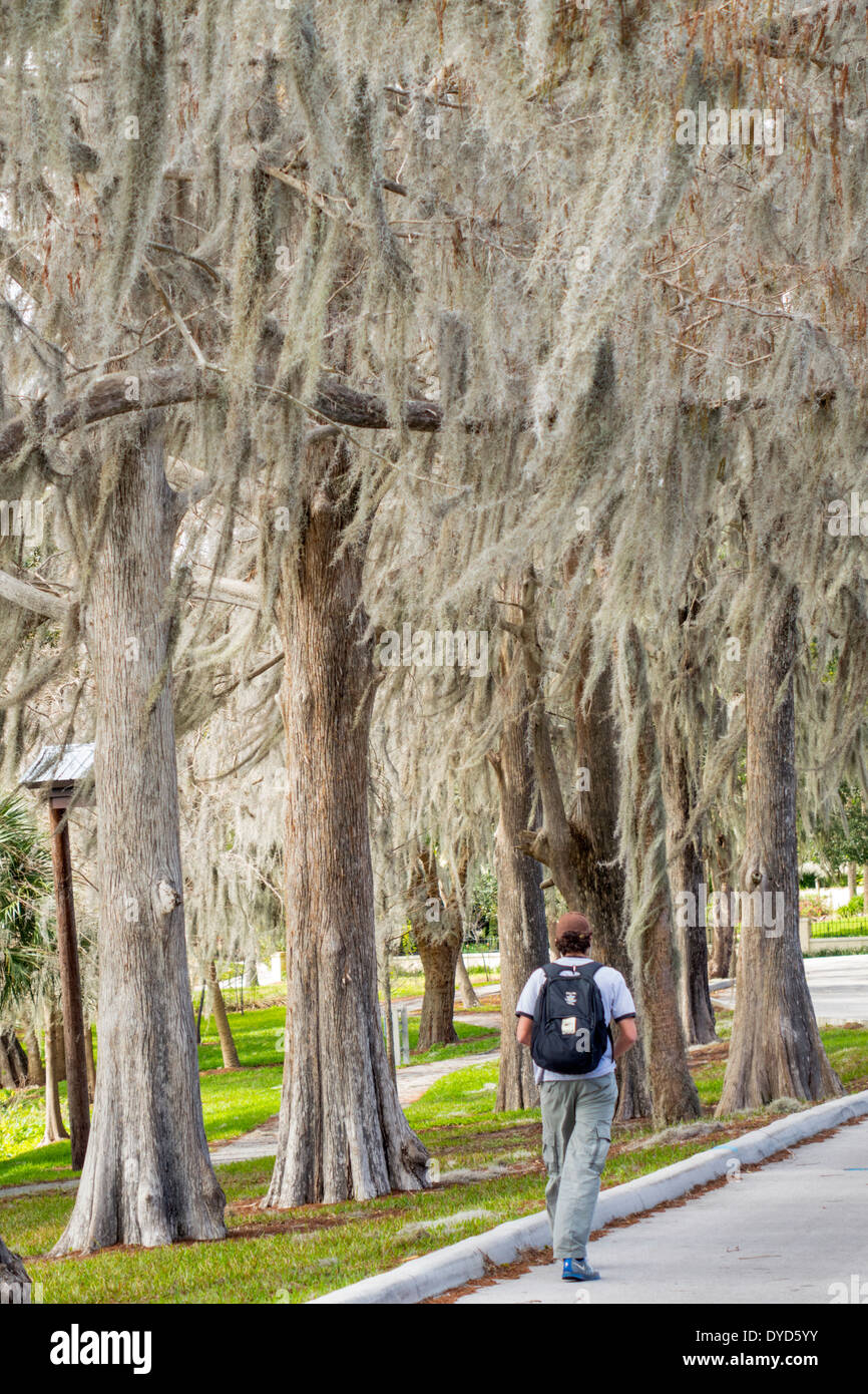 Winter Park Florida, Rollins College, campus, étudiants éducation élèves élèves élèves, marche, cyprès arbres, mousse espagnole, visiteurs voyage tour t Banque D'Images