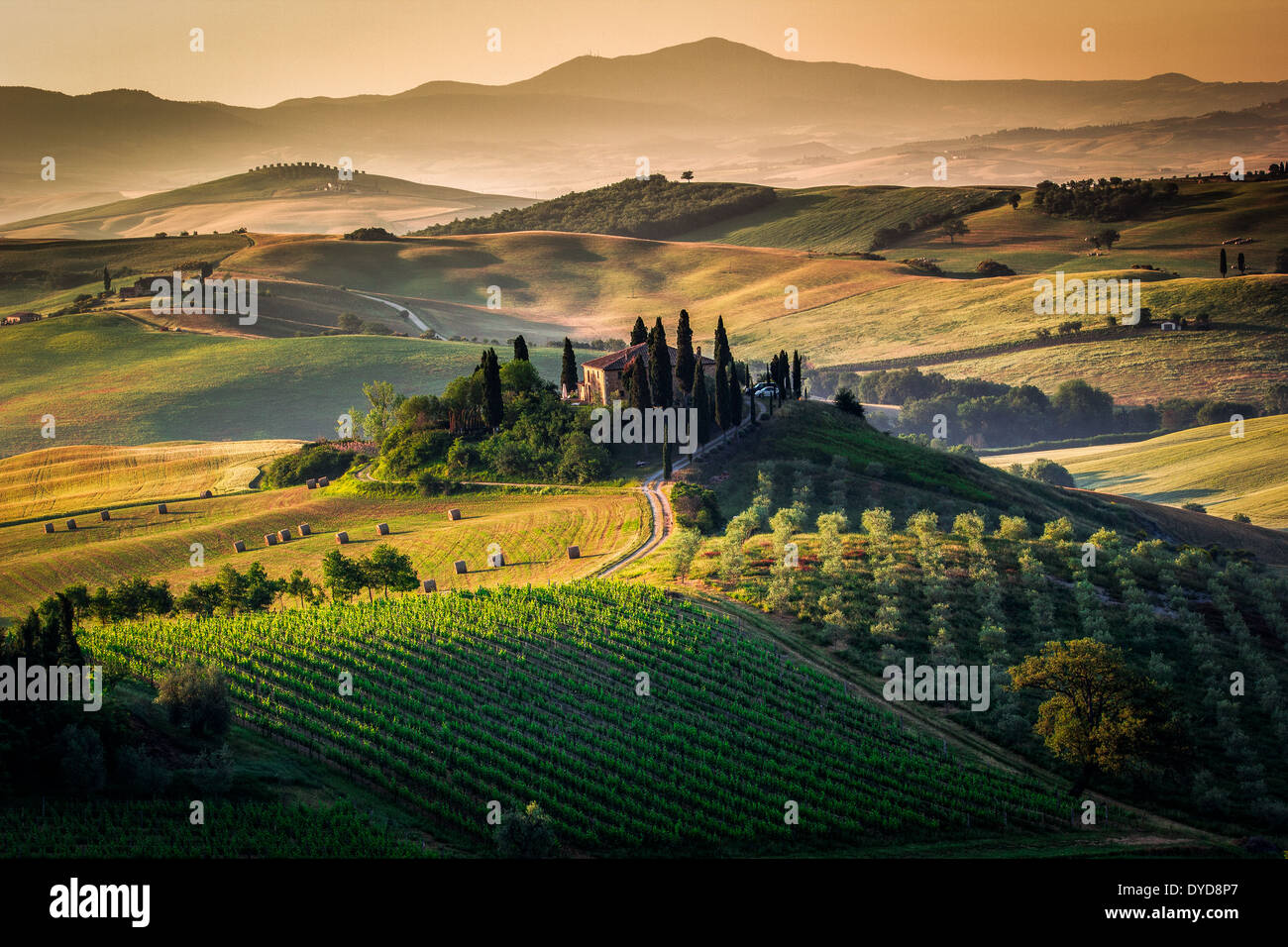 Tôt le matin dans le Val d'Orcia, Toscane - une belle ferme entourée de cyprès et de Golden Hills, Italie Banque D'Images