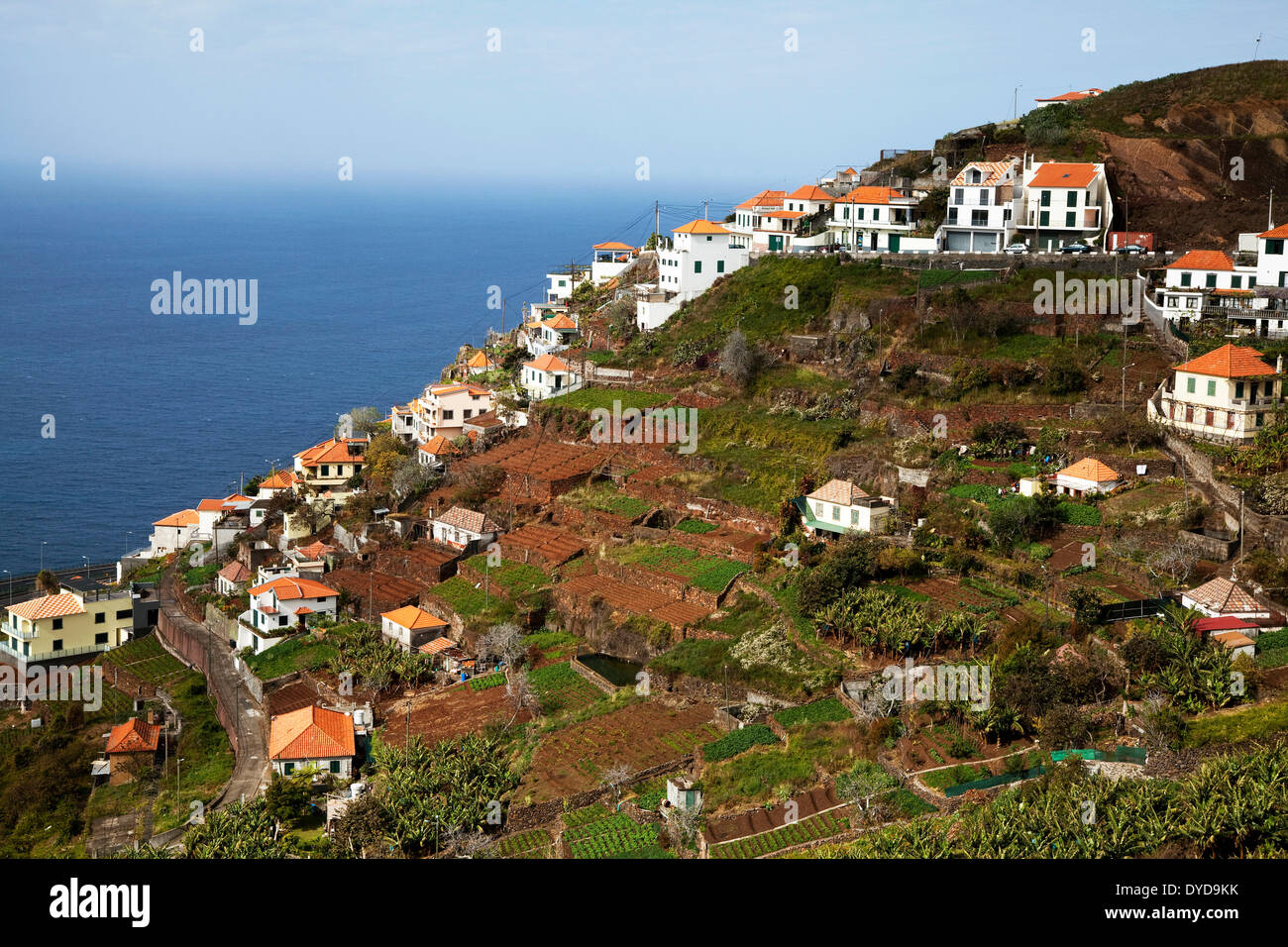 Village sur la côte, près de Ribeira Brava, Madeira, Portugal Banque D'Images