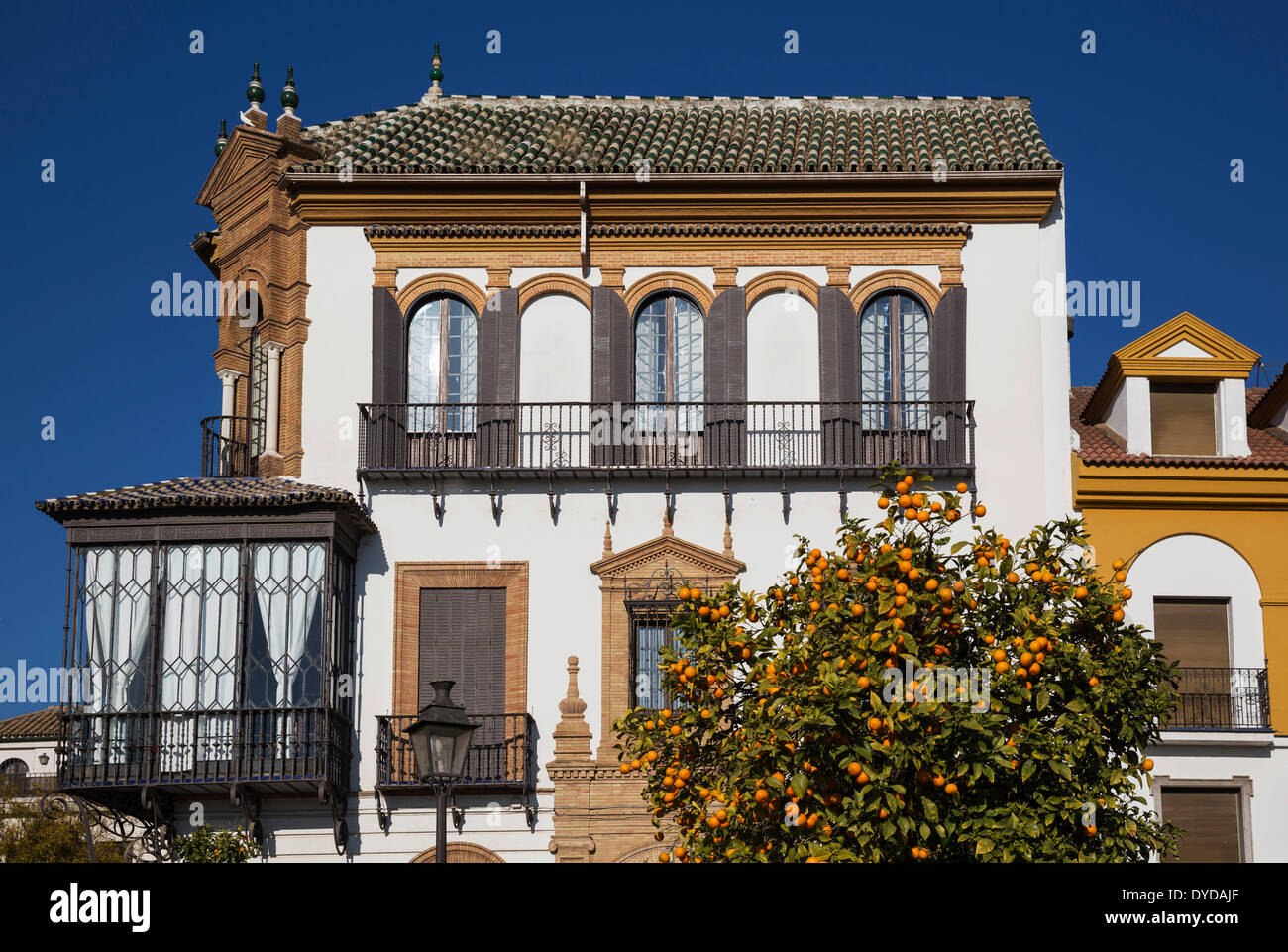 Résidence de style andalou et de l'amertume ou Orange de Séville (Citrus aurantium x), Santa Cruz, Séville, Séville province Banque D'Images
