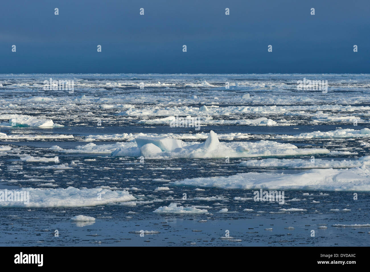 Des blocs de glace, la bordure de la banquise, l'océan Arctique, l'archipel du Svalbard, l'île de Spitsbergen, Svalbard et Jan Mayen (Norvège) Banque D'Images